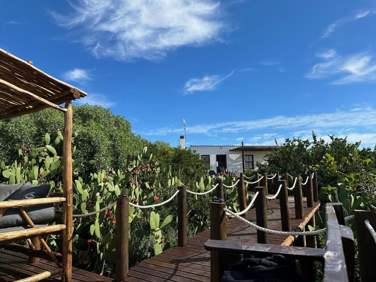 Ostrich Cottage At Les Wings Private Game Farm Groot-Jongensfontein Exteriör bild