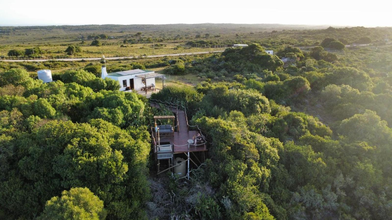 Ostrich Cottage At Les Wings Private Game Farm Groot-Jongensfontein Exteriör bild