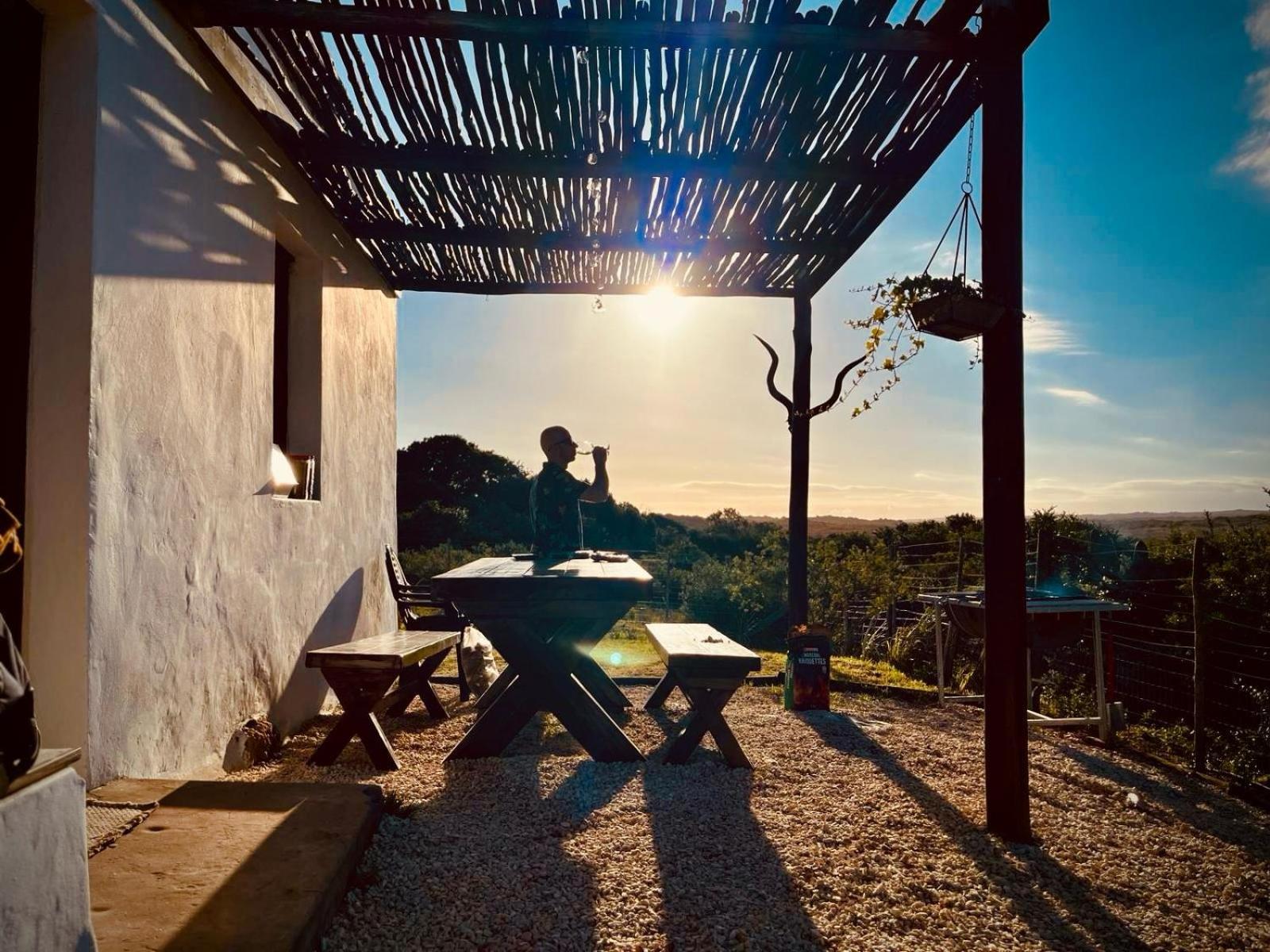 Ostrich Cottage At Les Wings Private Game Farm Groot-Jongensfontein Exteriör bild